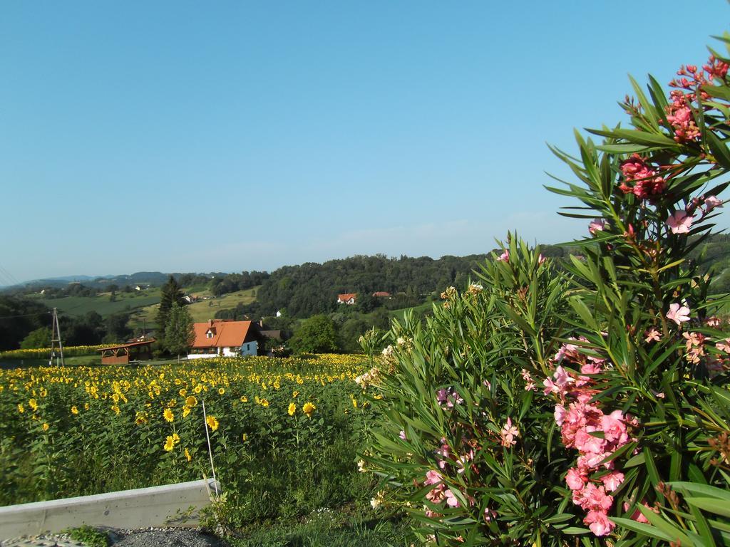Ferienwohnungen Soravia Gamlitz Quarto foto
